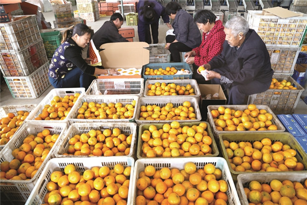 Ҥ���۽۴��ϵ��̡�˳�ᳵ��